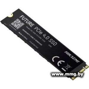 SSD 1TB Hiksemi Future HS-SSD-FUTURE