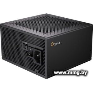 Купить 1000W Ocypus Iota P1000 Iota-P1000-G1FFBK024X-EU в Минске, доставка по Беларуси