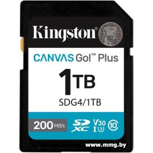 Купить Kingston 1TB SDXC Canvas Go Plus Gen4 SDG4/1TB в Минске, доставка по Беларуси