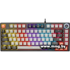 Купить Defender Wildfire GK-213 (серый/черный) (45214) в Минске, доставка по Беларуси
