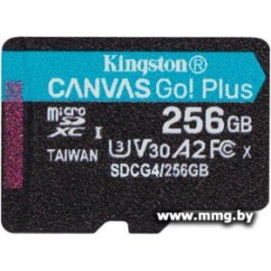 Kingston 256GB microSDXC Canvas Go! Plus SDCG4/256GBSP w/a