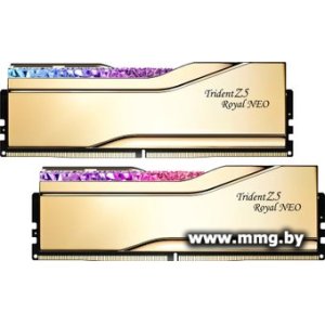 Купить 64GB (2x32Gb) PC5-48000 G.Skill F5-6000J2836G32GX2-TR5G в Минске, доставка по Беларуси