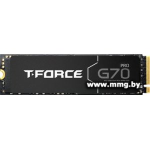 SSD 2TB Team T-Force G70 Pro TM8FFH002T0C129
