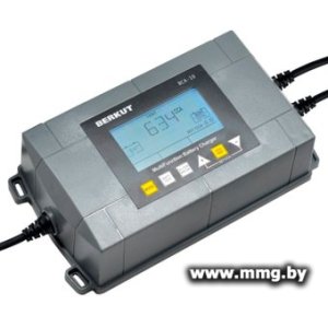Зарядное устройство Беркут BCA-10