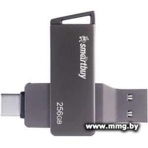 Купить 256GB SmartBuy MC45 SB256GBMC45 в Минске, доставка по Беларуси