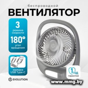Купить Evolution AirLeaf AL-101 (серый) в Минске, доставка по Беларуси