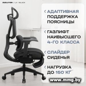 Evolution LX 1 Black (черный)