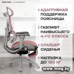 Evolution LX 3 Burgundy (бордовый)