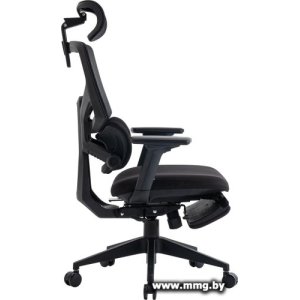 Evolution LumbarPro FR (черный)