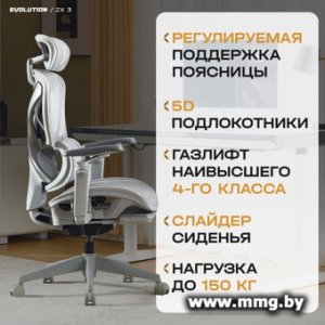 Купить Evolution ZX 3 (серый) в Минске, доставка по Беларуси