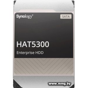20000Gb Synology HAT5300 HAT5310-20T