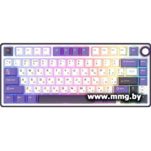 Royal Kludge R75 RGB Blackberry (RK Silver)