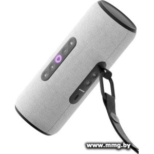 Купить Яндекс Станция Стрит (серый) YNDX-00030GRY в Минске, доставка по Беларуси
