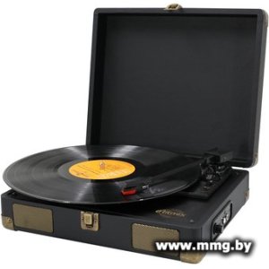 Ritmix LP-100 (черный)