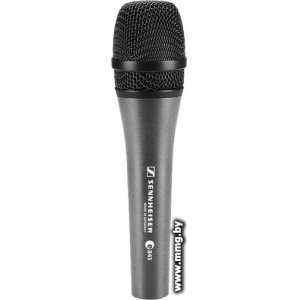 Микрофон Sennheiser e 845-S