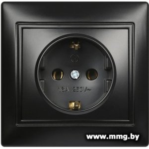 Купить Розетка SmartBuy Венера SBE-01b-16-S1-Z-c в Минске, доставка по Беларуси