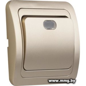 Выключатель SmartBuy SBE-02c-10-SW1-1-c