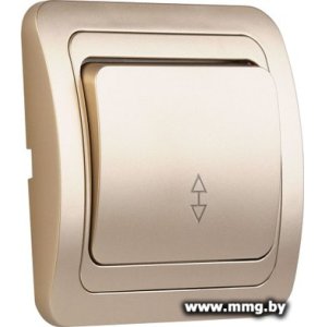 Выключатель SmartBuy SBE-02c-10-SW12-0-c