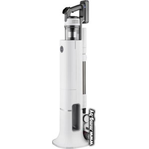 Weissgauff V20 BLDC Wash&Dry Dust Station