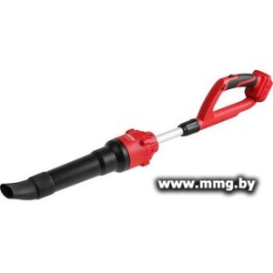 Воздуходувка Wortex BB 2018-1 D ALL1 XLT 1334645 (без АКБ)