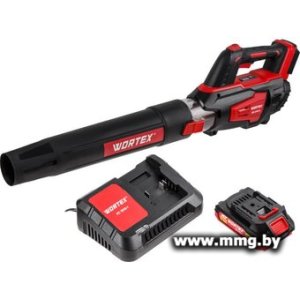 Воздуходувка Wortex BB 2018 D ALL1 XLT Set 1333739 (с 1-им АКБ)
