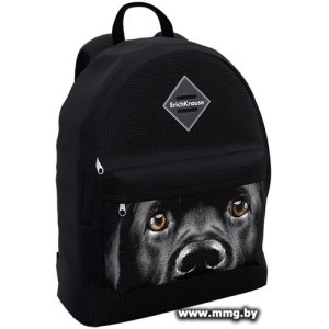 Купить Рюкзак Erich Krause EasyLine 17L Black Dog 60324 в Минске, доставка по Беларуси