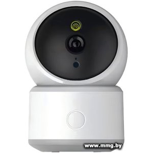 IP-камера Ritmix IPC-310-Tuya