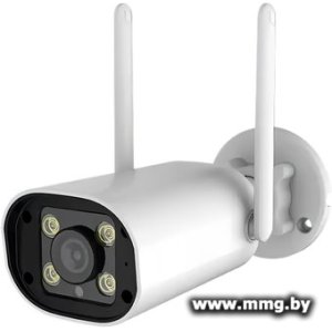 IP-камера Ritmix IPC-460S-Tuya