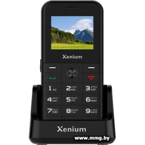Купить Xenium X718 (черный) в Минске, доставка по Беларуси