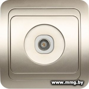 Купить Розетка SmartBuy Марс SBE-02c-S1-TV в Минске, доставка по Беларуси