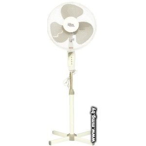 Купить Making Oasis Everywhere VF-40TW в Минске, доставка по Беларуси