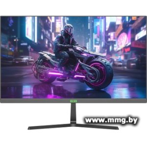 ELSA EA271S Pro