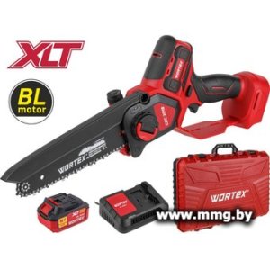 Купить Wortex CEC 2018 ALL1 XLT Set 2329052 (с в Минске, доставка по Беларуси
