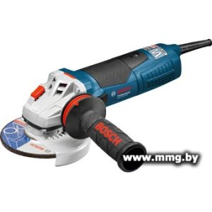Bosch GWS 19-125 CIE Professional [060179P002]