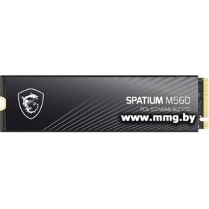 SSD 2TB MSI Spatium M560 S78-440Q940-P83