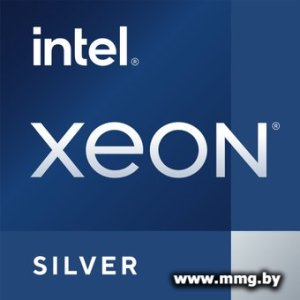 Intel Xeon Silver 4509Y