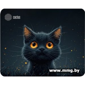 CACTUS CS-MPC-D09S