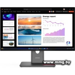 Купить Lenovo ThinkVision P24Q-40 64B2GAT1UK в Минске, доставка по Беларуси