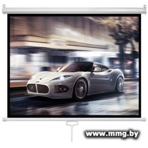 Future Vision Business 300 300x218 W300WMW