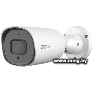 IP-камера Temid BS-852B31C-S2-MI-S