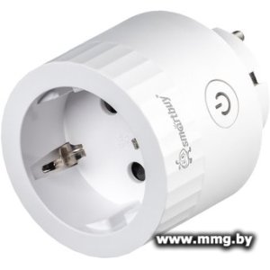 Умная розетка SmartBuy SBE-16-A12WFw-Z