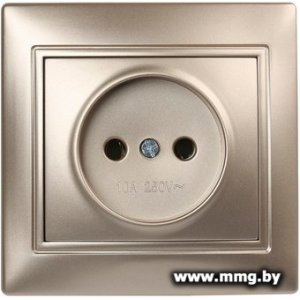 Купить Розетка SmartBuy Венера SBE-01c-10-S1-N-c в Минске, доставка по Беларуси