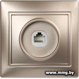 Купить Розетка SmartBuy Венера SBE-01c-S1-RJ в Минске, доставка по Беларуси