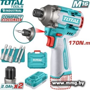 Total TIRLI16178 (с 2-мя АКБ, кейс)
