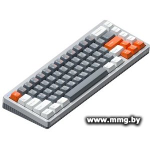 NuPhy Halo65 HE (Magnetic Coral) (Halo65HE-SG-C)