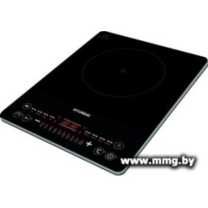Hyundai HYC-0110