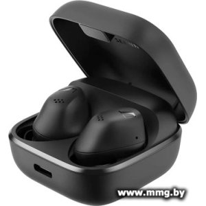 Купить Sennheiser Accentum True Wireless (черный) в Минске, доставка по Беларуси
