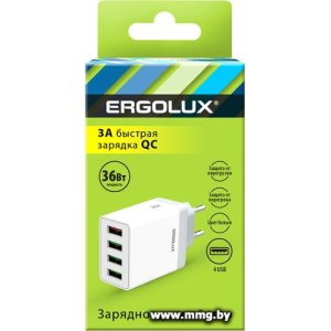 Зарядное устройство Ergolux ELX-РA02QC-C01