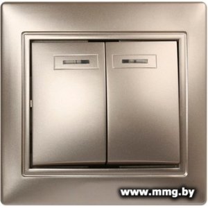Купить Выключатель SmartBuy Венера SBE-01c-10-SW2-1-c в Минске, доставка по Беларуси