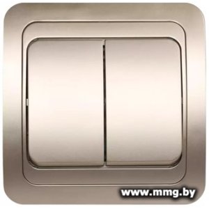 Купить Выключатель SmartBuy Марс SBE-02c-10-SW2-0-c в Минске, доставка по Беларуси